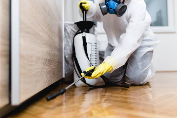 Best Best Pest Control Companies  in Woodinville, WA