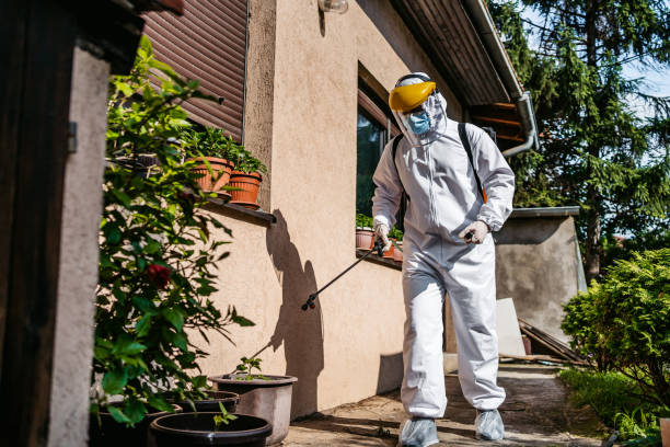 Best Rat Extermination Near Me  in Woodinville, WA