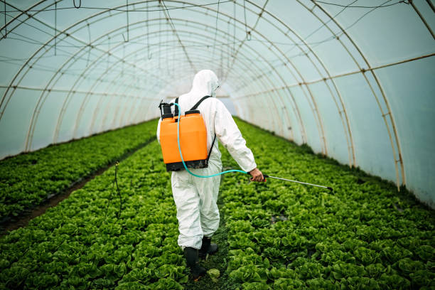 Best Emergency Pest Control  in Woodinville, WA