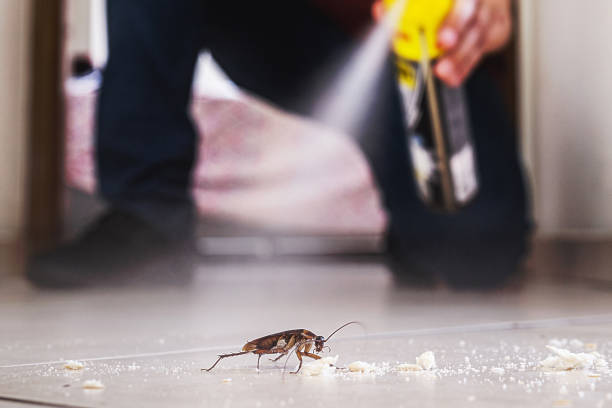 Best Wildlife Control Services  in Woodinville, WA