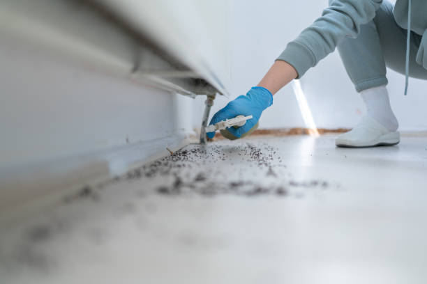 Best Commercial Pest Control Services  in Woodinville, WA